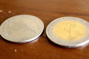 Article : Les dangers insoupçonnés des pièces de monnaie « lisses »